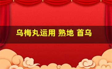 乌梅丸运用 熟地 首乌